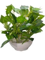Dn Enterprises Green Decorative Indoor Artificial Money Plant Pot With Leaves For Home Living, 25 cm