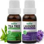 ssancia Pack of 2 Essential Oils Tea Tree Oil & Lavender Essential Oils Combo Pack - Pure 100% Natural for Healthy Skin, Face, and Hair & Aromatherapy. 100% Pure, Natural, Undiluted, & Therapeutic Grade Essential Oils. (30 ml)