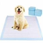 Taiyo Pluss Discovery Potty Training Puppy Pads for Dogs ( 60 cm X 90 cm ) - 50 Count