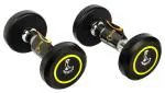 Cockatoo Rubber Coated Professional Round dumbbells (Pack of Two) ; Round Dumbbells (2.5 Kg Pack Of Two)