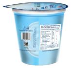 Skyrrup Blueberry Greek Yogurt - AA18