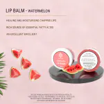 NATUUR - Watermelon Lip Balm - 15g | Moisturizing and Nourishing Lip Care | For Soft and Smooth Lips | Effective for Dry Lips | Revitalizing Properties Lighten Skin Tone I Prepared with natural plant butters - shea and cocoa