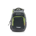 Harissons Bags Xeno Multicolor Polyester 15.6 inch Casual Laptop Backpack with Rain Cover and Pouch 33 L (HB1079GREYGREENBLACK)