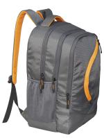 Cosmus Splendour Laptop Backpack 48cm 33 Litre 3 Compartments Grey Bagpack