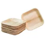 Disposable Plates, Areca Leaf Plates, 6 Inch, Small Appetizer Plates, Pack of 25, Square, Export Quality, (Off-White)
