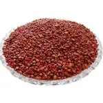 Radish Seeds - 1 Kg