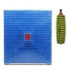 AHCS Acupressure Tools Kit Massager Accu (Set of 2)