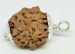 Feel Touch Mart 1 Mukhi Rudraksha GOL Dana Real Genuine 1 Mukhi Nepali GOL Dana Rudraksha Beads Lab Certified Pendant with Laal Dhaga Blessed