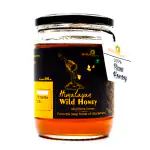 Shifaya Health Himalayan Wild Honey 600G