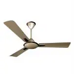 CROMPTON Aura Prime Antidust 1200 mm Anti Dust 3 Blade Ceiling Fan (Birken Effect, Pack of 1)