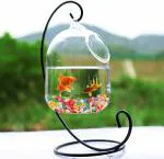 Schmick Pebbles Multi-Color Pebbles for Decoration - Pebbles for Plants Pots (950 Grams, Mixed Gems)