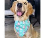 For The Fur Kids Summer Dog Bandana: Up and Away Colourful Bandana for Pets (Green)