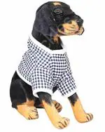 Tickles Polyester Sitting Rottweiler Dog Wearing Check Design Dress Soft Toy 30 cm 1 Month and Up