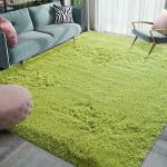 Shag Weaving Carpet Green Polyester Carpet Rugs (2 ft X 4 ft Rectangle)Green