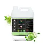 Beegreen Liquid Soap Green Apple- 5L, Eco-Friendly & Biodegradable, Safe For Sensitive Skin, 100% Natural & Plant based, Kids Safe, Green Hand Wash, Green Apple Fragrance