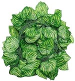 AUM Artificial Fancy Wall Hanging Garland Money Plant Leaf Bail/Creeper for Special Occasion Decoration, Home, Office, Festival Theme Decoration (Approx Green, Length 6.5 Feet) - Pack of 12 Strings