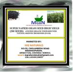 Mgbn The Path For The Healthier Life With Beauty Super Napier Grass Seed High Yield, 200 Seeds And Organic Fertilizer With Natural Growth Promotors, 50 Gm