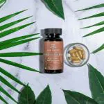 Vann Mantra Herbal Joint Pain Relief | Reduces Pain, Stiffness & Swelling in Joints | 60 Capsules