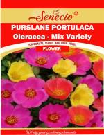 SENECIO Purslane Portulaca Oleracea Mix Variety Seed - 20 Per Packet