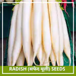 Farmgokart 100 Seed Pack of RADISH SEEDS