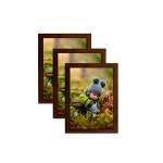 OFC ERA Photo Frame wooden wall Décor for Gifting Decorative 3 PC Set