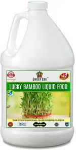 Sansar Green Lucky Bamboo Food Liquid Fertilizer, Premium Essential Liquid Fertilizer for the Best Growth of Lucky Bamboo Plants with Growth Nutrients and Charged Micro-Organism Fertilizer (1000 ml, Liquid)