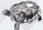 Petrichor Feng Shui Crystal Turtle (Large 6 inches, Transparent) Tortoise for Peace and Prosperity | Home Decor and Gifting Vastu