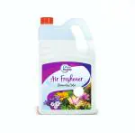 CLEAN BUDDY Air Freshener Eliminates Odour, 5L, Corridors, Guest House, Hotels, Office, Washrooms, Ready to Use, Long Lasting & Instant Deodorizer for Bad Odour (Blueberry)