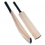 EXELON Plain Kashmir Willow Cricket Bat Full Size
