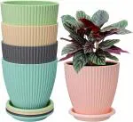Delmon Tree Pot Suitable for Home Indoor & Outdoor Gardening Plants Pack of 05, Multicolor