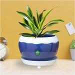 Trustbasket Blue Table Top Planter Bowl With Saucer (1)