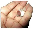 Jet International Crystal Quartz Conch Shankha Shell