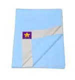 naughty baby Fleece Baby Bed Protecting Mat (Sky Blue, Medium)