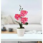 SATYAM KRAFT 1 Pcs Artificial Orchid Fake Flower with Plastic Pot Plant Decorative Items for Home, Balcony, Room, Living Room, Table Decor Plants and Craft Items Corner(1 pcs, Pink) (Without Vase)