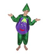 Kaku Fancy Dresses Brinjal Vegetables Costume -Purple & Green, 10-12 Years, for Boys & Girls