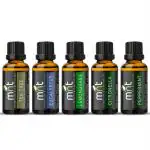 MNT Diffuser Oil Eucalyptus, Lemongrass, Citronella, Peppermint Each 15 ml (Combo Of 4)