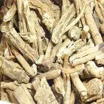 Xetomos NISHOTH SAFED NISHOD WHITE TURBAD TURPETHUM INDIAN JALAP 100g