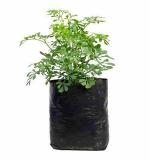 Plastic Nursery Cover Plant Grow Bag