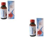 Zandu Rhumasyl Liniment Natural Pain Releiver, Multicolor, 50 ml, pack of 2