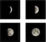 Surmul Multicolor Plastic Medium Night Moon Full And Half Beautiful Moons Frame Poster Self Adhesive Sticker (Pack Of 4)
