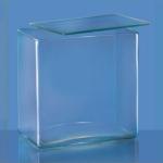 ABGIL Glass Specimen Jar Rectangular With Glass Cover 45 x 45 x 15 cm