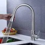 Thoisewelt Matte Stainless Steel Sink Mixer Tap With Dual Flow Pull-Down Sprayer