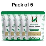 H&C Giloy / Guduchi Powder 100g pack (pack of 5)