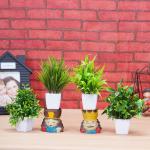 Dekorly Artificial Plants with Pots Set of 4 Perfect for Housewarming Gift for Family and Friends