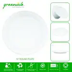 GREENVALE 10 Inch Disposable Plates | Sugarcane Paper Plates, Biodegradable | for Party, Birthday, Wedding, for Serving Dinner, Round Plate 250 mm Pack of 25 Plates