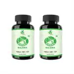 MINTVEDA Ginkgo Biloba Veg Capsules, 60 Tablets Each (Pack Of 2)