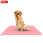 Wet Free Pet Dry Sheet, Reusuable Training Pad, Washable Pee Pad (Small Size, (50 cm x 70 cm)) 1Pc Pink