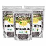 Bliss of Earth Organic 600gm Raw Chia Seeds for Weight Loss, Raw Super Food Pack of 3