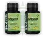 Omni Ayurveda | Garcinia Combogia Capsule | Natural Weight loss Capsule | (2 x 60 Capsules)