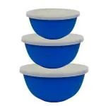 GRETEL GOLD Stainless Steel Microwave Bowl & 2 Plastic Storage Bowls (FREE) with Lid (set of 5)